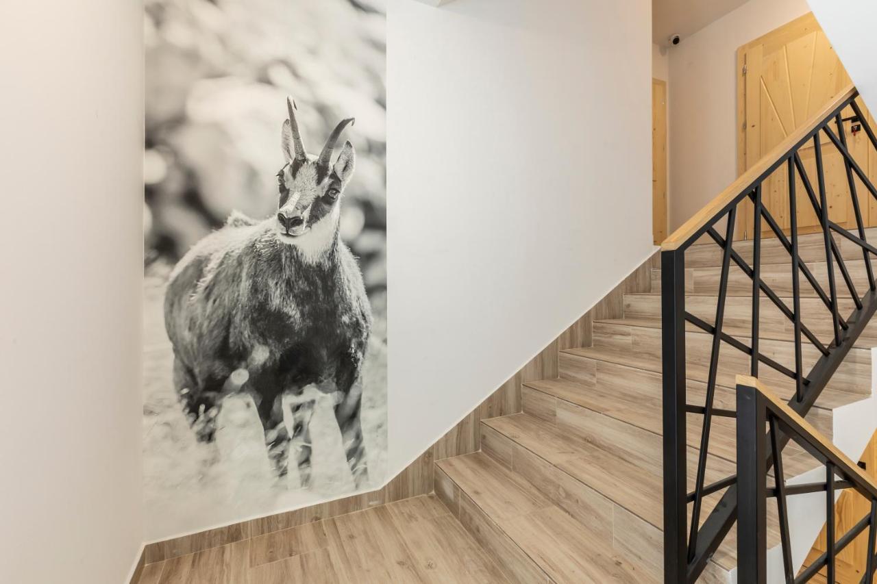 TatryTop Apartamenty Alpejski SPA Kościelisko Zewnętrze zdjęcie