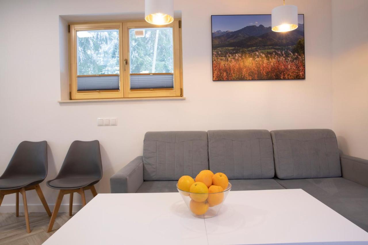 TatryTop Apartamenty Alpejski SPA Kościelisko Zewnętrze zdjęcie